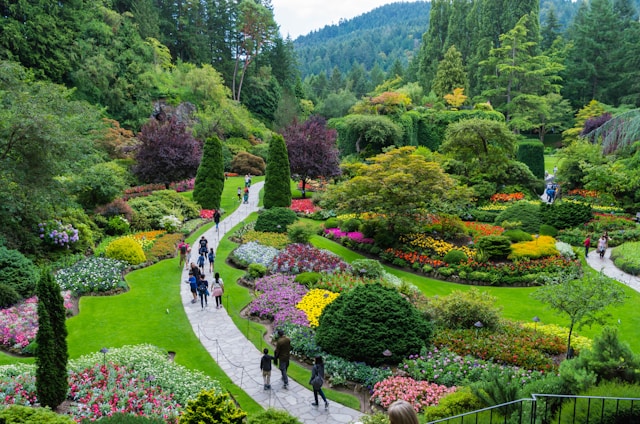 Crafting a Resilient and Sustainable Landscape for Every Season